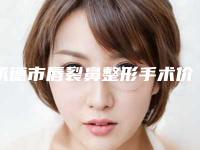 承德市唇裂鼻整形手术价格表全面免费查询-均价唇裂鼻整形手术18218元