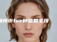 扬州市fue种植眉毛排名十强-扬州美贝尔整形诊所全新案例公布
