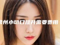 常州小切口提升需要费用多少钱