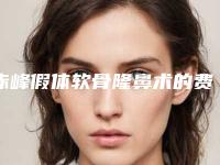 赤峰假体软骨隆鼻术的费用需要多少