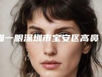 瞄一眼深圳市宝安区高鼻尖治疗医生排名榜top7