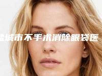 盐城市不手术消除眼袋医院-盐城市城南新区韩辰医疗科技有限责任公司韩辰医疗美容门诊部明白人说价格实惠