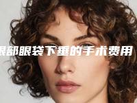 眼部眼袋下垂的手术费用一览表
