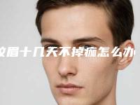 纹眉十几天不掉痂怎么办纹眉后几天开始掉痂