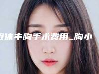假体丰胸手术费用_胸小吃什么丰胸最快呢!