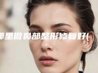 哪里做鼻部整形修复好(鼻部整形有哪些)