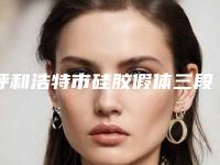 呼和浩特市硅胶假体三段式隆鼻医院在榜名单top10合集发布(呼和浩特市硅胶假体三段式隆鼻整形医院)