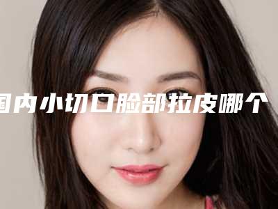 国内小切口脸部拉皮哪个医院好:小切口脸部拉皮医院top50哪家医