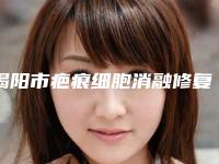 揭阳市疤痕细胞消融修复整形医院-揭阳市疤痕细胞消融修复医院排名上榜各个实力不俗，任你选择