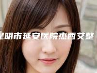 昆明市延安医院杰西艾整形美容医院,云南省第一人民医院各方技术和审美在线PK