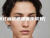 河北省切痣哪家医院好(保定慕尚医疗美容看排名榜中相互比拼)