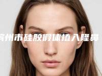 滨州市硅胶假体植入隆鼻费用表明细2025表在线查询-滨州市硅胶假体植入隆鼻手术费用需要多少钱