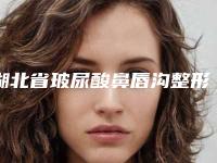 湖北省玻尿酸鼻唇沟整形美容医院(武昌杨法清医疗美容诊所公立私立医美新旧交替)