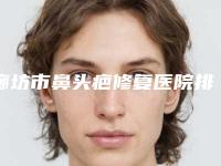 廊坊市鼻头疤修复医院排名榜名单评出-廊坊市鼻头疤修复整形医院