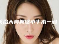 长治大鼻翼缩小手术一般价位多少钱