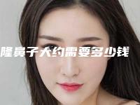 隆鼻子大约需要多少钱