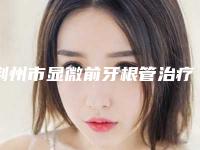 荆州市显微前牙根管治疗颗医生在榜清单实力满分-荆州市董岩岩口腔医生