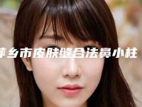 萍乡市皮肤缝合法鼻小柱延长术医院排名前十名权威一览(萍乡市皮肤缝合法鼻小柱延长术整形医院)