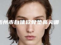 衢州市自体软骨垫鼻尖哪个医生又专业又好-邢恒峰医生不看后悔