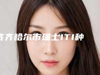 齐齐哈尔市瑞士ITI种植体医生在榜清单综合实力前十哪里比较好-齐齐哈尔市梁志伟口腔医生