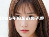 2025年廊坊市鼻子磨骨手术整形医院排行有哪家