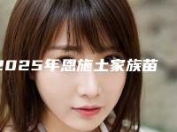 2025年恩施土家族苗族自治州种植牙牙套医院看前五公立三甲机构实力与评价-恩施咿呀牙科（咸丰店）专家技术点评出炉